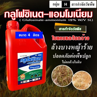 กลูโฟ ( เซียน )-กลูโฟซิเนต-แอมโมเนียม 4L สารกำจัดวัชพืชใบแคบและใบกว้าง หญ้าปากควาย วัชพืชตายยาก เผาไหม้และดูดซึม ไล่ร่อง