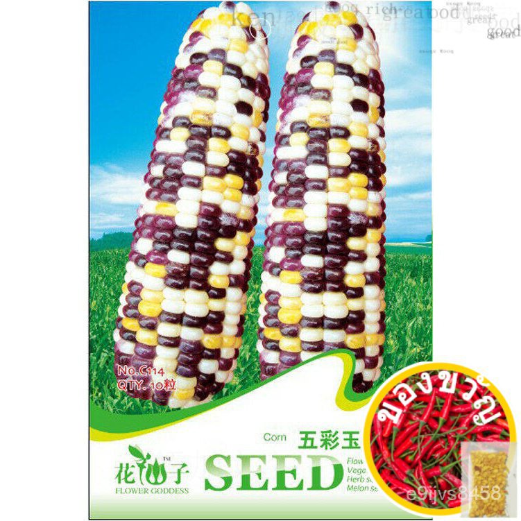 C114เอบีเอส M8D1,,,,