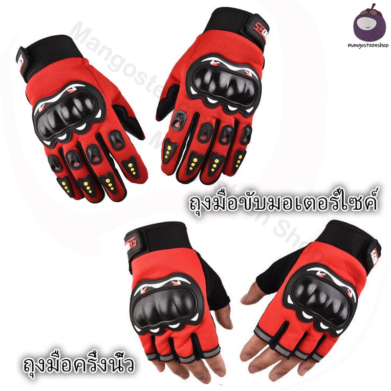 รูปภาพ 4