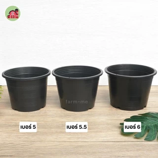 กระถางต้นไม้ 6นิ้ว แพ็ค 50ใบ กระถางต้นไม้ดำ กระถางดำ