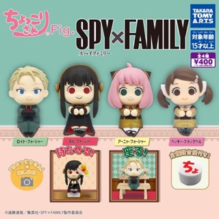 กาชาปอง SpyxFamily Chokorin-San กาชาปอง สปายแฟมิลี่ โชโครินซัง ยกชุด 4 ชิ้น