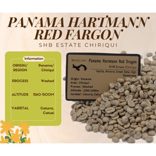 พร้อมส่ง เมล็ดกาแฟดิบ Panama Hartmann Red Dragon washed Process / เมล็ดกาแฟนอก/เมล็ดกาแฟสาร/ เมล็ดกาแฟสาร ปานามา