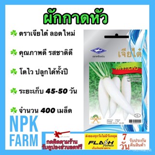 ผลิตภัณฑ์ใหม่ เมล็ดพันธุ์ สปอตสินค้า❤ผักซอง เจียไต๋ ผักกาดหัว จำนวน 400 เมล็ด/ซอง เมล็ดอวบอ้วน ลอตใหม่ งอกดี โต /สวนครัว