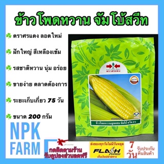 ข้าวโพดหวาน จัมโบ้สวีท ขนาด 200 กรัม หมดอายุ 02/67 ลอตใหม่ ข้าวโพด ศรแดง ฝักใหญ่ น้ำหนักดี  รสชาติ หวาน npkplant