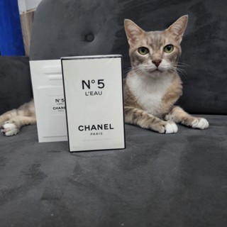 แท้! น้ำหอม CHANEL N°5 LEAU 100ml สมทบค่ารักษาแมวโรคไต😿