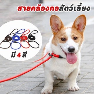 😺Hipetime offical shop😺สายจูง​สุนัข​ เชือกฝึกสุนัข​ เชือกล่ามหมา​ สายจูงสัตว์​เลี้ยง​ 3​ ขนาด