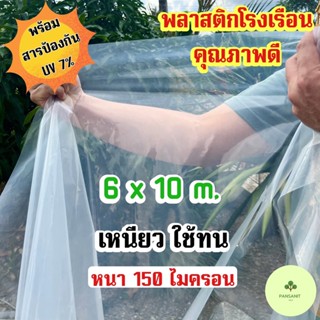 พลาสติกโรงเรือน 6.0 x 10 เมตร พลาสติกใส บอนสี ไม้ด่าง หน้ากว้าง 6.0 เมตร หนา 150 ไมครอน UV7%