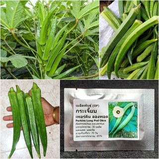 เมล็ดพันธุ์ กระเจี๊ยบเขียวผลยาว เพอร์คิน ลองพอด Perkins Long Pod Okra Seed 30 เมล็ด ราคาถูก ของแท้ 100%