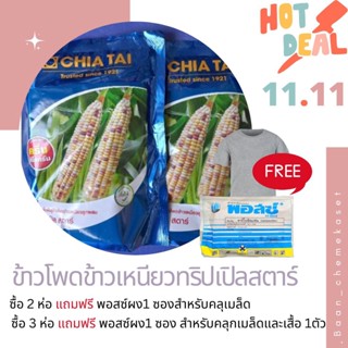 เมล็ดพันธุ์ข้าวโพดเทียน เทสตี้ ดีไลท์ เจียไต๋ ขนาด 500g