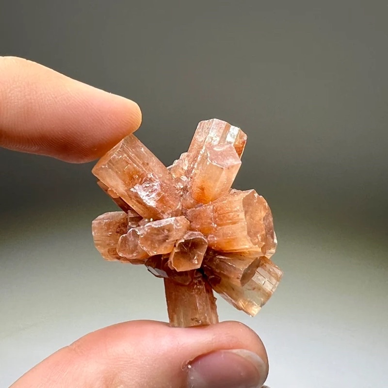 Natural Aragonite Mineral S/M/L Size / Top High Quality / Aragonite provides strength and support. – โปรปัง