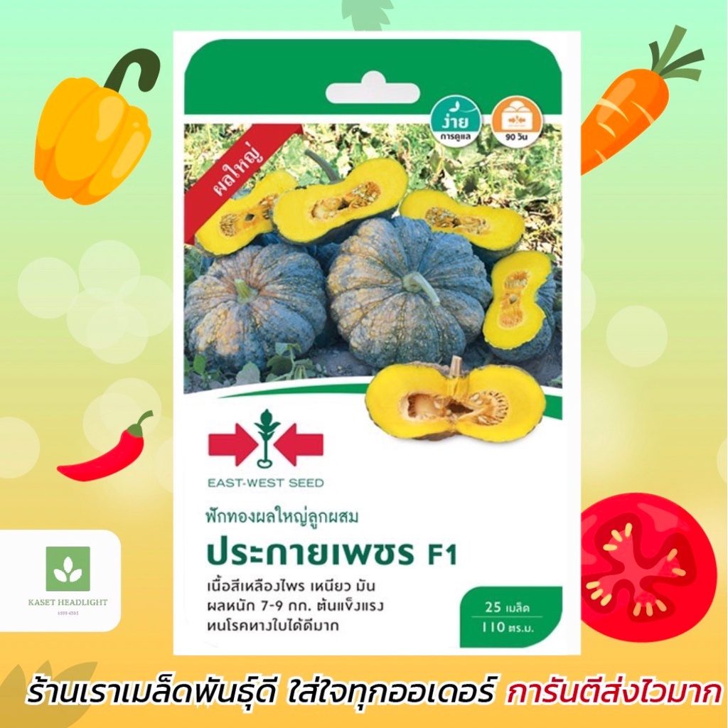 ฟักทอง ประกายเพชร ลูกใหญ่ ศรแดง 20เมล็ด