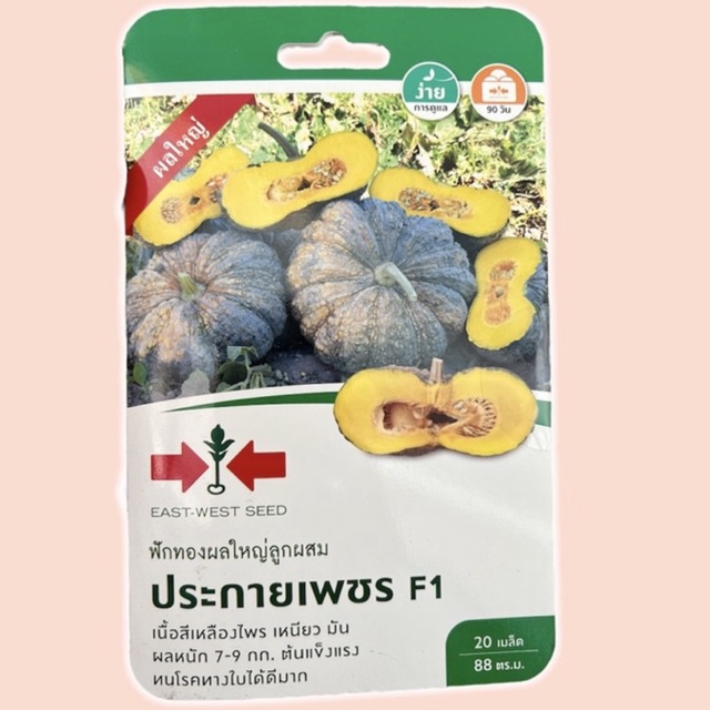 ฟักทอง ประกายเพชร น้ำหนัก 7-9 กก (20 เมล็ด)