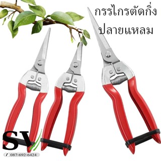 กรรไกรตัดกิ่งปลายแหลม กรรไกรตัดกิ่งดอกไม้ ตัดเก็บผลไม้จากต้น ทำจากสแตนเลส
