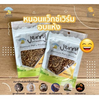 หนอนแว็กอบแห้ง หนอนแว๊กวอม์อบแห้ง Jerry สำหรับชูการ์ไกลเด้อ …