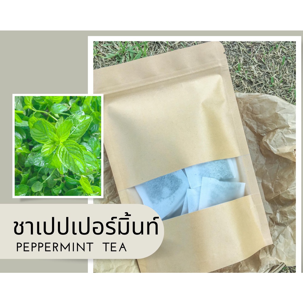 ชาเปปเปอร์มิ้นท์ 15 ซอง สมุนไพรออแกนิก เปปเปอร์มิ้นอบแห้ง Peppermint organic herb