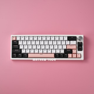 MATHEW TECH MK66 Pro mechanical keyboard with Olivia Doubleshot Keycap,Poron foam,southfacing 65% keyboard gasket