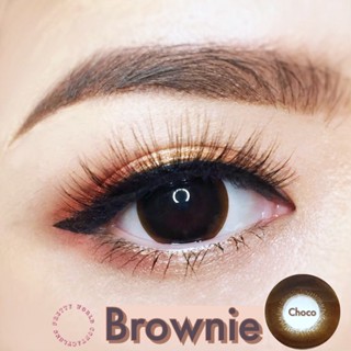 ✨Pitchy Lens : Brownie Choco สายตาปกติ - 5.00 ตาโตแบ๊ว