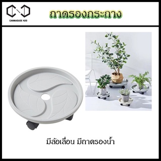 ถาดรองต้นไม้ ถาดรองพลาสติกเลื่อนได้ 13" / 15.5 "Plant Stand with Wheels and Drainage Tray, Garden Rolling Plant Caddy