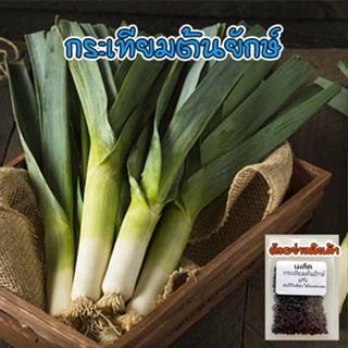 เมล็ดพันธุ์ กระเทียมต้น (Leek) กระทียมต้น ปลูกกระเทียมต้น เมล็ดกระเทียมต้น 40-100 เมล็ด [ซื้อ 10 แถม 1 คละได้]