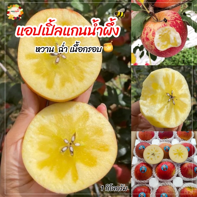 แอปเปิ้ลแกนน้ำผึ้ง 1Kg หวานฉ่ำ กรอบ อร่อย