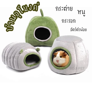 🚨พร้อมส่งจากไทย🐰🐹🐿 ที่นอนหนู กระต่าย เม่น กระรอก ชูก้าไรเดอร์ บ้านสัตว์เลี้ยง อุโมงค์