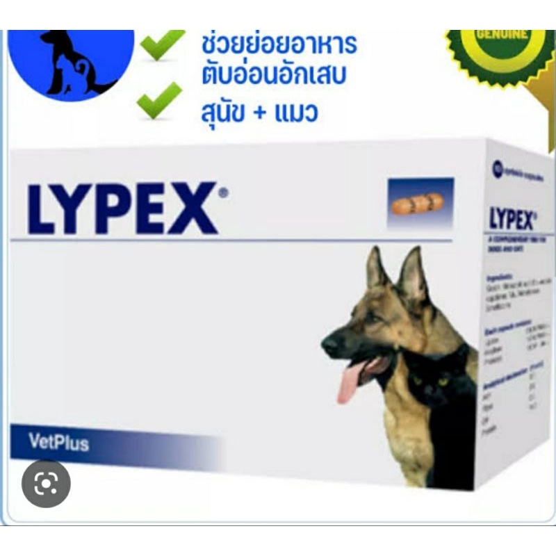 lypex 15 เม็ด ไลเป็กซ์