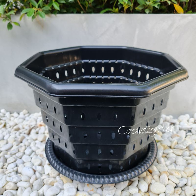 กระถางเร่งรากSuperหนา‼️หนา รูเยอะ ระบายน้ำดี เร่งรากโตไวขนาด10