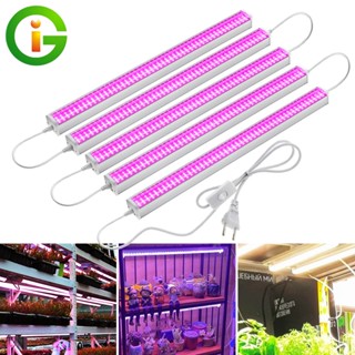 AC220V Full Spectrum LED Grow Light ไฟบอกว่าบาร์ปลูกต้นไม้ 6แถว 1000W ไฟปลูกต้นไม้ช่วยให้ต้นไม้โตเร็วแสงแดด/แสงสีม่วง