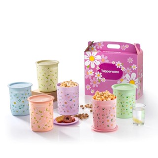 One Touch Spring Collection Set