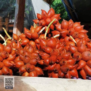 สละสุมาลี เก็บใหม่จากสวน หวานอร่อยเนื้อแน่น (1 กิโล) คัดช่อเป็นพิเศษ สดตรงจากสวนจันทบุรี