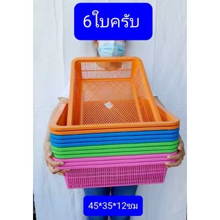 6ใบครับ ตะแกรง ตะกร้าพลาสติก มอก.ผลิตไทย ถาดเพาะถั่วงอก