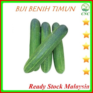 ผลิตภัณฑ์ใหม่ เมล็ดพันธุ์ จุดประเทศไทย ❤Biji Benih Timun F1 Cucumber Seedเมล็ดอวบอ้วน 100% รอคอยที่จะให้ความสนใ /ดอก CCP