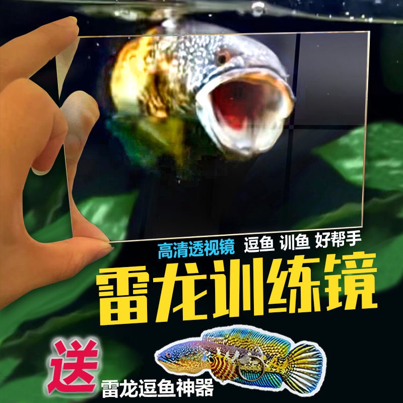 ตู้ปลากระจกปลากัด Flowerhorn Cichlid Training Playing Accessories 雷龙Fish fault镜子 双面透明E4