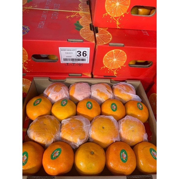 ส้มไตหวัน กล่องแดง ตราปลาฉลาม Wo Tangerine  น้ำหนักรวมลังละ 7 กิโลกรัม (ยกลัง)