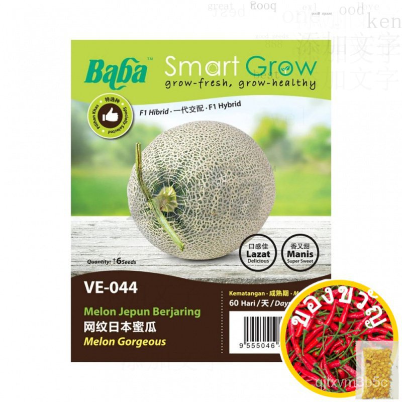 Baba SEED Baba Smart Grow SEED: VE-044 Gorgeous Melon/ตาข่ายแตงโมญี่ปุ่น /imporet // เมล็ดผัก/ผักสลั