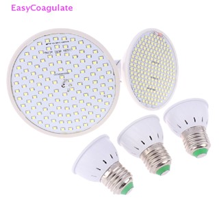 Eas E27 หลอดไฟ LED ถ้วยข้าวโพด หลอดไฟแก้วในร่ม SMD2835 ชิป 220V สปอตไลท์ Ate