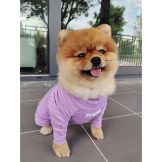 💥Nwr📌Haru ชุดเก็บขนสุนัขเเละเเมว🐾🐶😼
