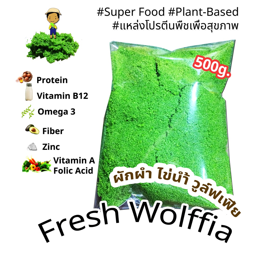 "ผำ ไข่น้ำ พืชผักสด500g." - "#Plant based" - "ทางเลือกเพื่อสุขภาพ" - "#Wolffia" - "Organic Farm" - "