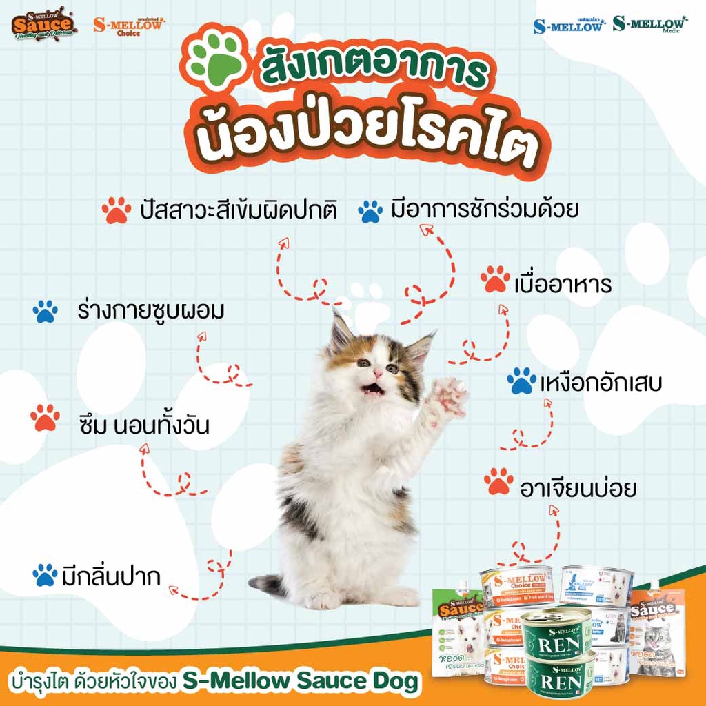 S-Mellow مكمل Ren لدعم كلى القطط 80 غ — صورة 3
