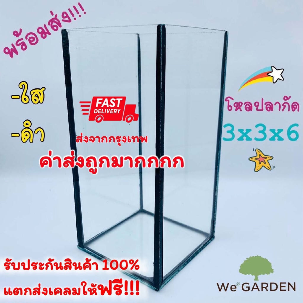 🎊🎉โหลปลากัดขนาด 3x3x6 3x3x7 นิ้ว ตู้ปลา ตู้ปลาขนาดเล็ก ปลากัด