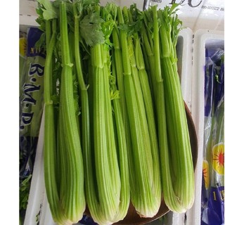 (พร้อมทาน) FillFresh • เซอราลี่ เซเลอรี่ (ต้นขึ้นฉ่ายฝรั่ง)｜Celery ผักรักสุขภาพ คั้นน้ำอร่อย พร้อมส่ง สดใหม่