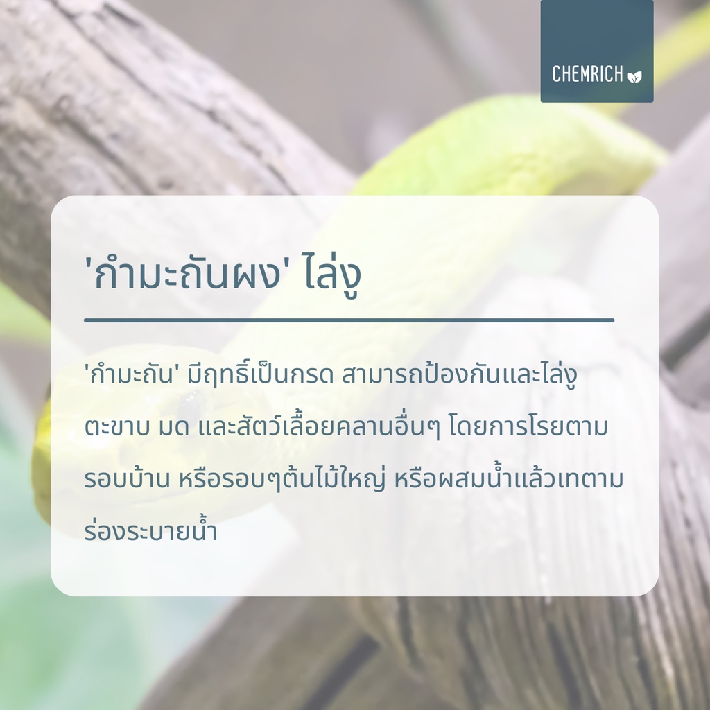 500G/1KG กำมะถันผง กำมะถัน ไล่งู ตะขาบ มด สัตว์เลื้อยคลาน (ผงกำมะถัน) / Sulfur powder (Brimstone) - Chemrich รูปที่ 3