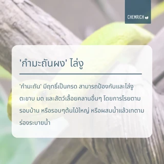 500G/1KG กำมะถันผง กำมะถัน ไล่งู ตะขาบ มด สัตว์เลื้อยคลาน (ผงกำมะถัน) / Sulfur powder (Brimstone) - Chemrich