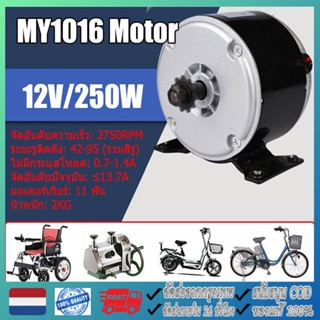 【จัดส่งจากกรุงเทพ】มอเตอร์DC 12V 250W motor 11 ฟัน มอเตอร์เกียร์ 2750RPM มอเตอร์สกู๊ตเตอร์ไฟฟ้า มอเตอร์จักรยานไฟฟ้า อะไหล่จักรยานไฟฟ้า DC มอเตอร์ไฟฟ้าจักรยาน มอเตอร์24v 250W