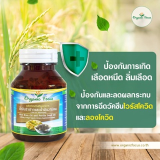 Organicfocus น้ำมันรำข้าว และน้ำมันงาม่อน 60 เม็ด 1,000 มิลลิกรัม/เม็ด ดีที่สุดอันดับ 1 *ราคาพิเศษ*