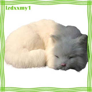 [Lzdxxmy1] ตุ๊กตาการ์ตูนแมวเสมือนจริง สีดํา