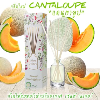 ก้านไม้หอมปรับอากาศ 50 ml CANTALOUPE แคนตาลูป