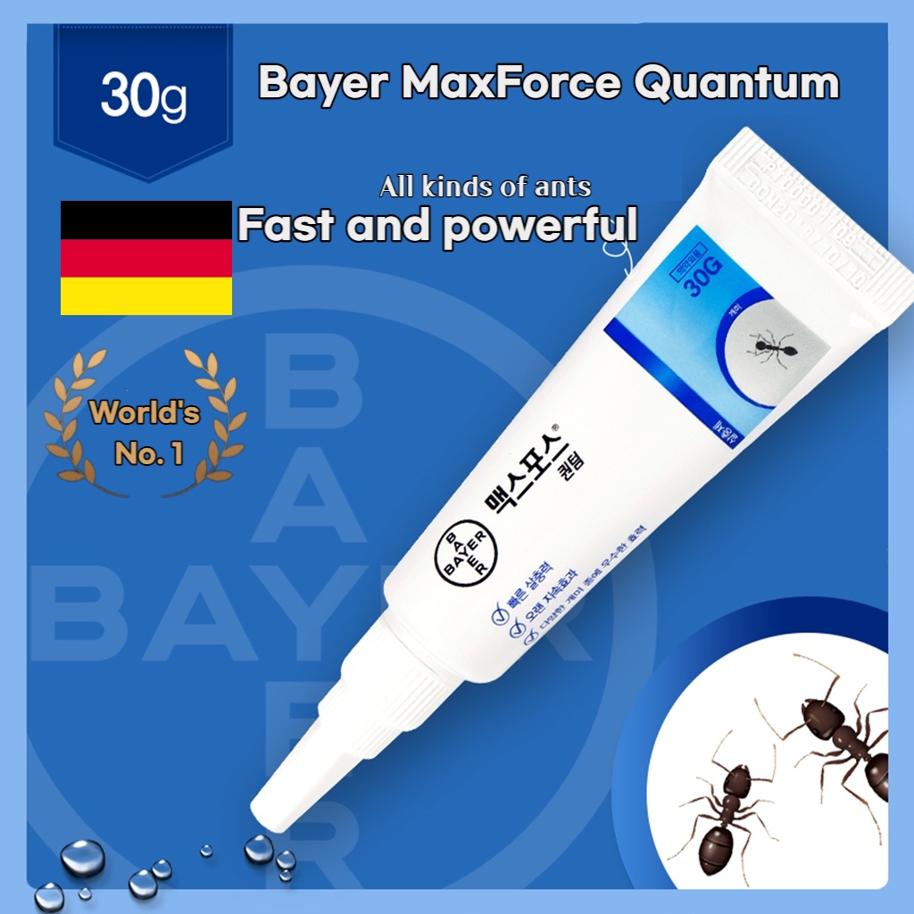 Bayer Maxforce Quantum ควอนตัม ควบคุมมด รวดเร็ว ติดทนนาน 30 กรัม