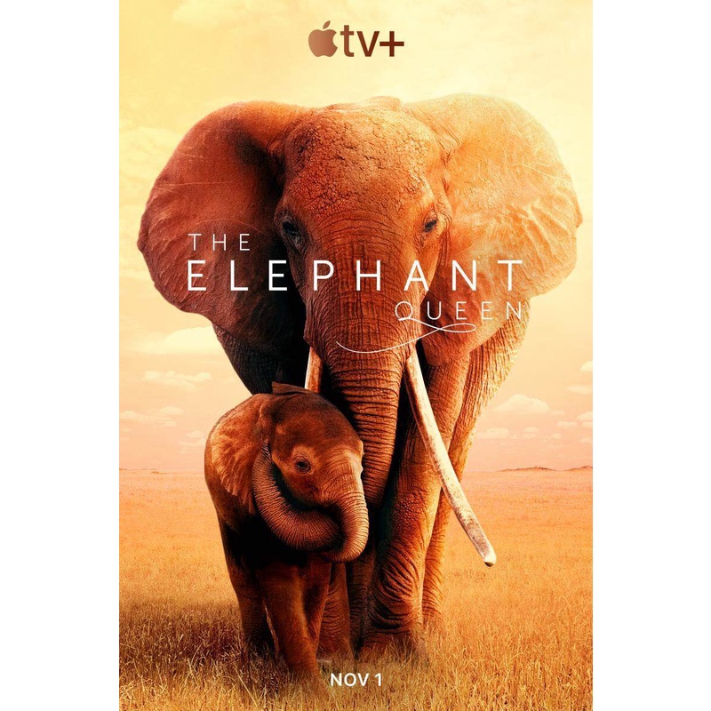 The Elephant Queen (2019) DVD Master พากย์ไทย