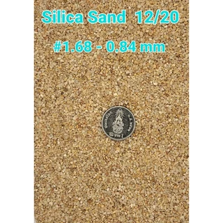 3 Kgs/Bag ทรายซิลิก้า Silica Sand ทรายพ่นโลหะ ทรายหล่อ ทรายกรองน้ำ ทรายสนาม หญ้าเทียม แห้ง สะอาด ฝุ่นน้อย พร้อมใช้